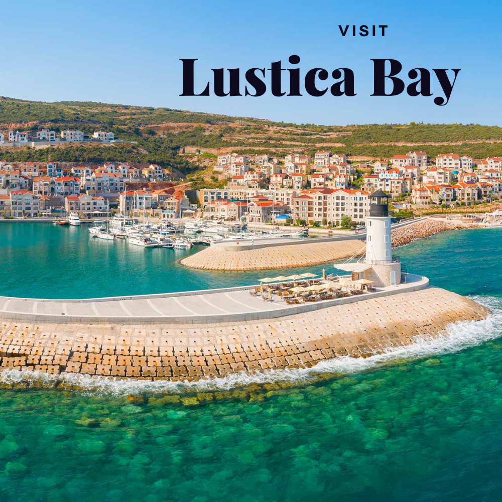 Speed Boat Tours From Budva